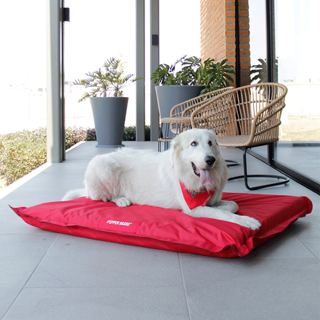 cama para perro kirkland cama para perro kirkland